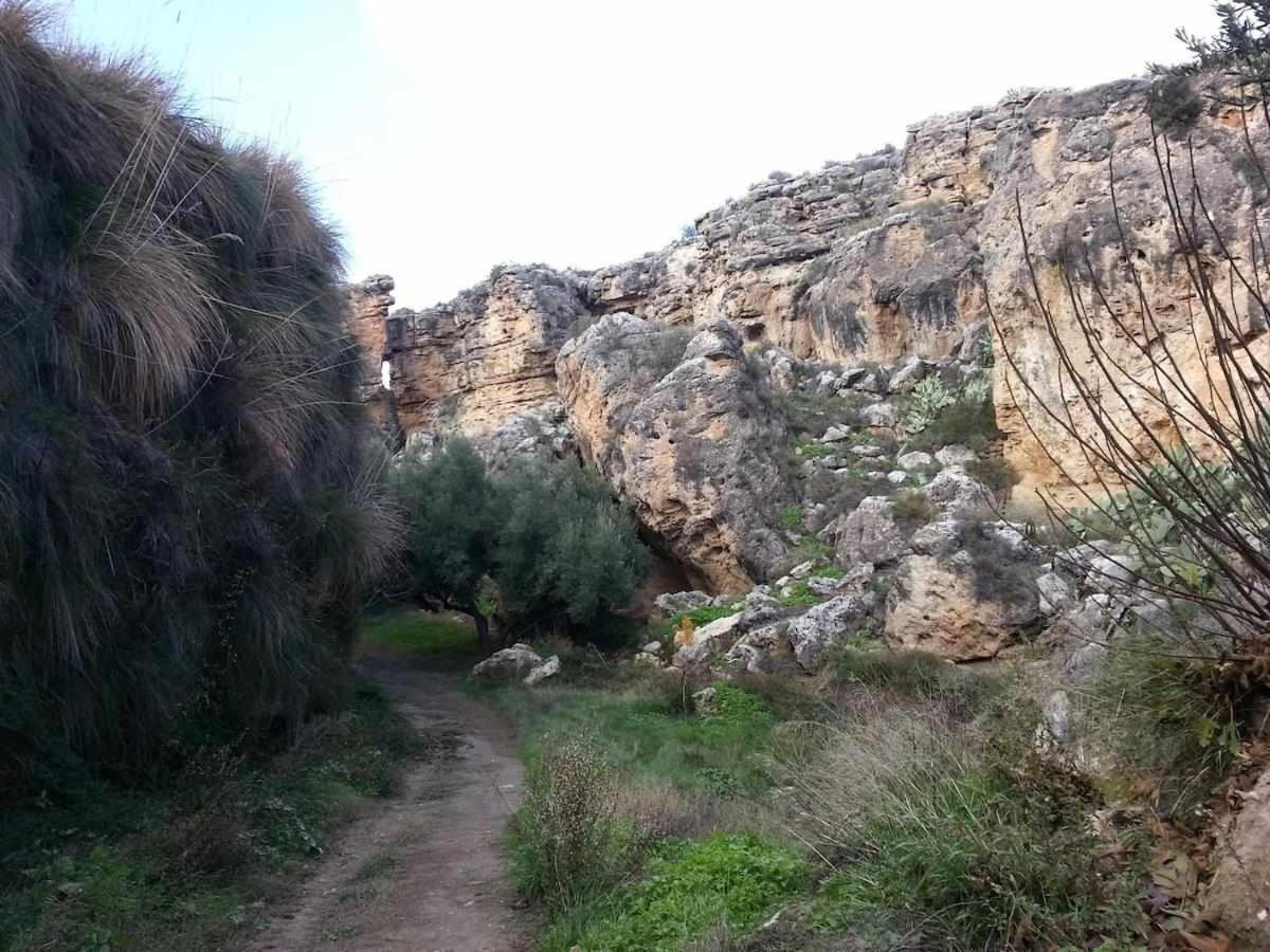 Hábitat Troglodita Almagruz Purullena Esterno foto